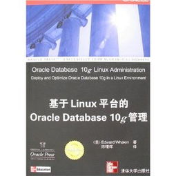 對(duì)日軟件外包服務(wù) 技術(shù)挑戰(zhàn)、市場(chǎng)機(jī)遇與成功之道