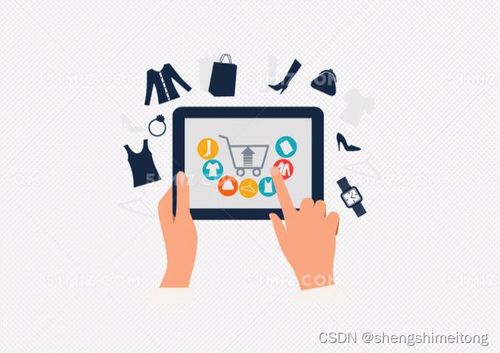 SaaS浪潮下的專業(yè)力量 以四川盛通美華為例看軟件外包服務(wù)的前途